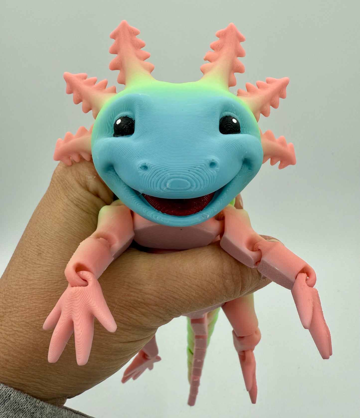 Small Multicolor Articulated Axolotls