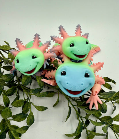 Large Multicolor Articulated Axolotls