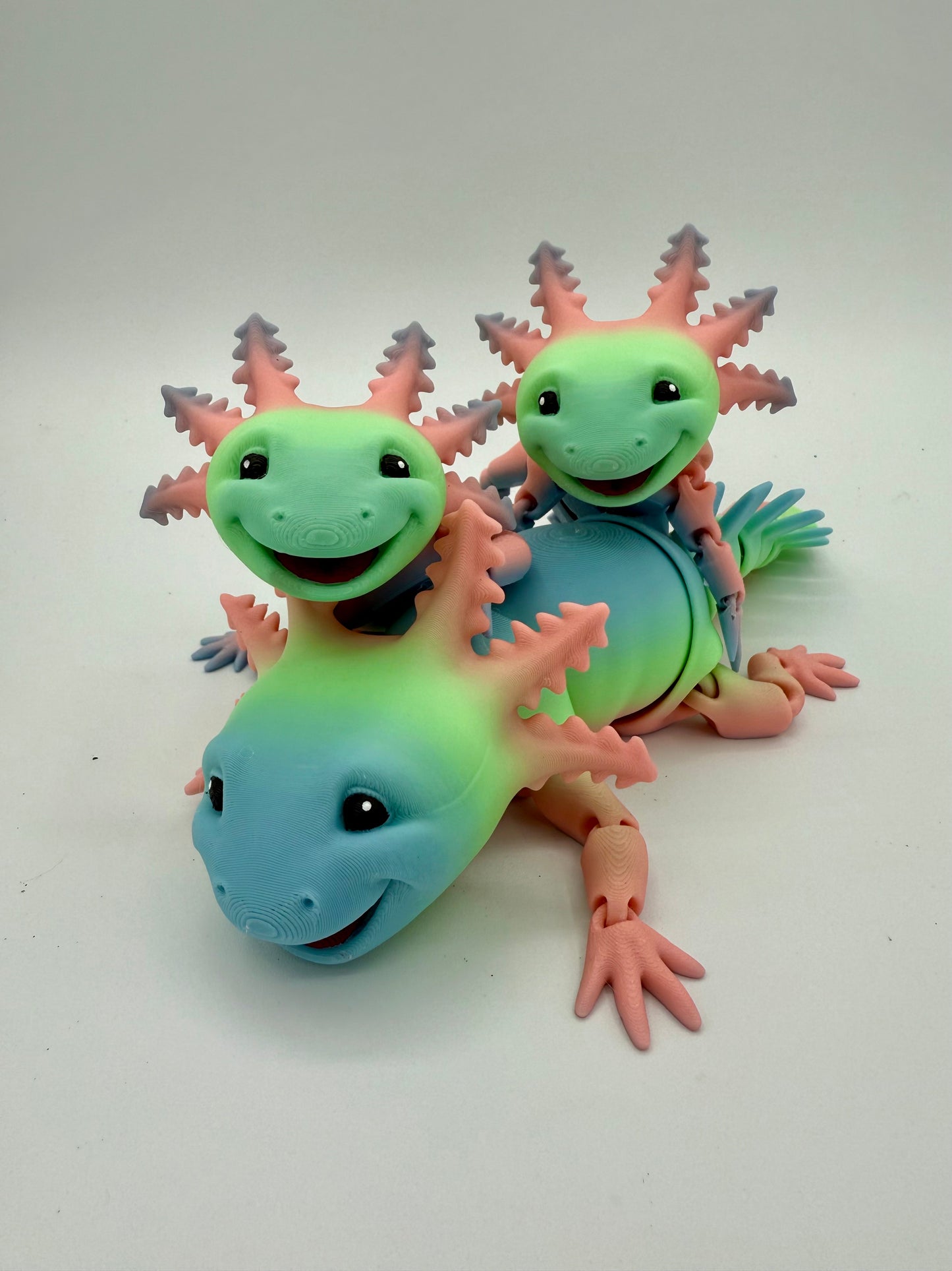 Small Multicolor Articulated Axolotls