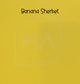 Stanley Acrylic Name Topper