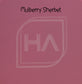 Stanley Acrylic Name Topper