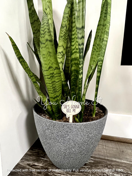 Funny Wooden Plant Stakes